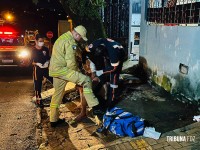 Homem fica ferido após golpes de facão no bairro Campos do Iguaçu