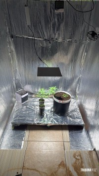 Operação Força Integrada mobiliza FICCOs em todo o país contra o crime organizado