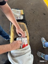 PF e Receita Federal apreendem medicamentos para emagrecimento ocultos em motocicleta na Ponte da Amizade