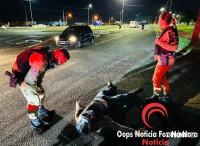 Motociclista fica ferido após colisão na marginal da BR-277