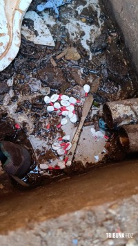 DENARC desarticula esquema de "delivery" de drogas e prende quatro pessoas em operação no bairro Morumbi