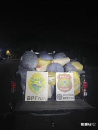BPFRON e PF apreendem 291,9 Kg de maconha tipo capulho às margens do Rio Paraná em Foz do Iguaçu