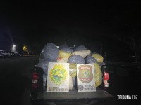 BPFRON e PF apreendem 291,9 Kg de maconha tipo capulho às margens do Rio Paraná em Foz do Iguaçu