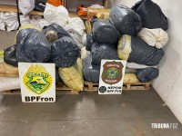 BPFRON e PF apreendem 291,9 Kg de maconha tipo capulho às margens do Rio Paraná em Foz do Iguaçu