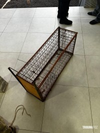 Policia Federal cumpre dois mandados contra grupo suspeito de caça clandestina no Parque Nacional do Iguaçu