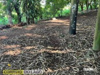 Homem é encontrado desacordado e com ferimentos na cabeça em área de mata no Balneário Terra das Águas em Santa Helena