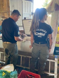 Segunda etapa de operação ambiental conjunta apreende pescado irregular em Capanema