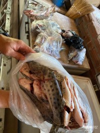 Segunda etapa de operação ambiental conjunta apreende pescado irregular em Capanema