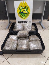 BPFRON apreende 17,5 Kg de maconha tipo capulho com auxílio de cães de faro em abordagem a ônibus em Foz do Iguaçu
