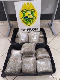 BPFRON apreende 17,5 Kg de maconha tipo capulho com auxílio de cães de faro em abordagem a ônibus em Foz do Iguaçu