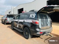 Carga milionária de 76 tabletes de cocaína é apreendida pela Policia Civil na BR-277 