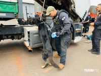 Carga milionária de 76 tabletes de cocaína é apreendida pela Policia Civil na BR-277 