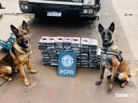 Carga milionária de 76 tabletes de cocaína é apreendida pela Policia Civil na BR-277 