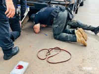 Carga milionária de 76 tabletes de cocaína é apreendida pela Policia Civil na BR-277 