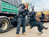 Carga milionária de 76 tabletes de cocaína é apreendida pela Policia Civil na BR-277 