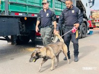 Carga milionária de 76 tabletes de cocaína é apreendida pela Policia Civil na BR-277 