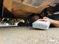 Carga milionária de 76 tabletes de cocaína é apreendida pela Policia Civil na BR-277 