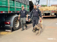 Carga milionária de 76 tabletes de cocaína é apreendida pela Policia Civil na BR-277 