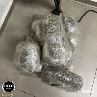 FICCO prende homem por tráfico de drogas em Santa Tereza do Oeste