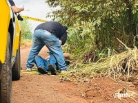 Homem é encontrado morto com mãos amarradas na marginal da BR-277 em Santa Terezinha de Itaipu