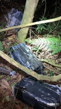 Policia Federal e PM apreendem 151,8 Kg de maconha na barranca do Rio Paraná em Foz do Iguaçu