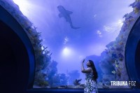 Foz do Iguaçu lança combo “Experiência Completa” que une Parque Nacional do Iguaçu (Cataratas do Iguaçu) e AquaFoz com condições especiais