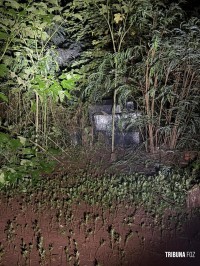 PF, PM e PC realizam apreensão de anabolizantes, cigarros eletrônicos e smartphones na região central de Foz do Iguaçu