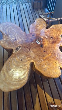 Policia Federal deflagra operação de repressão a crimes ambientais no Parque Nacional do Iguaçu