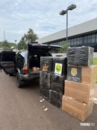 PF, PC e PM apreendem cigarros, pneus e eletrônicos em ação integrada na fronteira