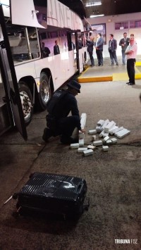 Guarda Municipal prende mulher que transportava 25,9 Kg de maconha na Rodovia de Foz do Iguaçu