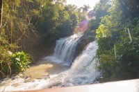 Parque Nacional do Iguaçu terá programação especial no feriadão do Dia do Trabalhador