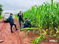 Homem é executado com vários tiros em área rural de Santa Terezinha de Itaipu