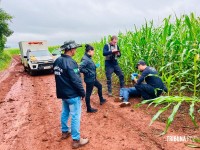 Homem é executado com vários tiros em área rural de Santa Terezinha de Itaipu