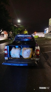 Ação conjunta entre PF e PM resulta na apreensão de 205 Kg de maconha tipo capulho e prisão de dois indivíduos