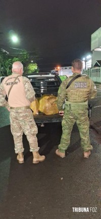 Ação conjunta entre PF e PM resulta na apreensão de 205 Kg de maconha tipo capulho e prisão de dois indivíduos