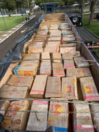Policia Federal apreende 2.354,30 Kg de maconha em Céu Azul