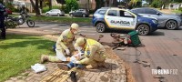Motociclista fica ferido após colisão na Vila Yolanda