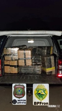 Policia Federal e Policia Militar apreendem 655 Kg de maconha no Rio Paraná em Foz do Iguaçu