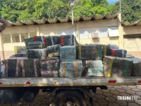 Polícia civil apreende grande quantidade maconha no Bairro Três Lagoas 