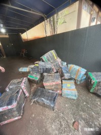 Polícia civil apreende grande quantidade maconha no Bairro Três Lagoas 