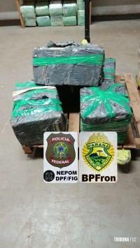BPFRON e Polícia Federal apreendem mais de 340 Kg de maconha em Foz do Iguaçu