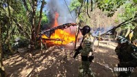 Operação contra o narcotráfico no Paraguai que durou 10 dias termina com 204 plantações de maconha destruidas