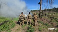 Operação contra o narcotráfico no Paraguai que durou 10 dias termina com 204 plantações de maconha destruidas
