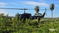 Operação contra o narcotráfico no Paraguai que durou 10 dias termina com 204 plantações de maconha destruidas