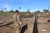 Operação contra o narcotráfico no Paraguai que durou 10 dias termina com 204 plantações de maconha destruidas