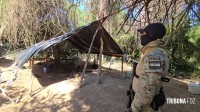 Operação contra o narcotráfico no Paraguai que durou 10 dias termina com 204 plantações de maconha destruidas