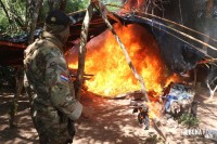 Operação contra o narcotráfico no Paraguai que durou 10 dias termina com 204 plantações de maconha destruidas