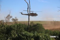 Operação contra o narcotráfico no Paraguai que durou 10 dias termina com 204 plantações de maconha destruidas