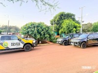 FICCO/PR deflagra Operação Blue Sky - Fase II na região do Oeste do Paraná
