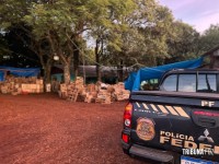Policia Federal resgata três famílias em operação de repressão ao trabalho escravo em Céu Azul